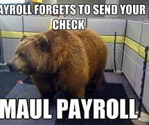 Image result for Payroll Cat Meme