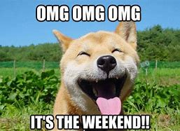 Image result for Plans for the Weekend Meme