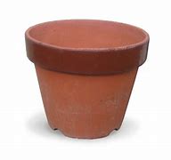 Image result for Dutch Pot