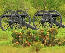 Image result for Palo Alto Battlefield National Historical Park