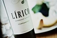Image result for Mauricio Lorca Torrontes Lirico