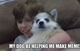 Image result for Help Dog Meme