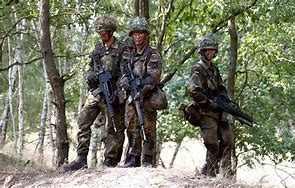 Image result for German Army