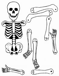 Image result for Free Printable Skeleton Cut Out