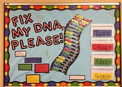 Image result for High School Science Bulletin Board Ideas