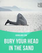 Image result for Biry Your Head in the Sand