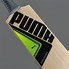 Image result for Puma Cricket Bats Tiger Logo Stikers