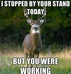 Image result for Funny Deer Hunting Memes