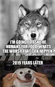 Image result for Dog and Wolf Meme 2019