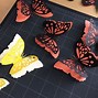 Image result for Pop Up Butterfly Card Template