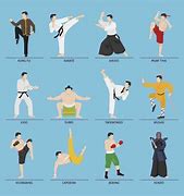 Image result for Martial Arts Tyoes