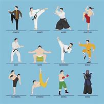 Image result for Type WS of Martial Arts