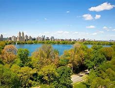 Image result for 1291 1st Avenue, New York, NY 10021