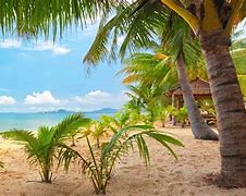 Image result for 8K Ultra HD Beach