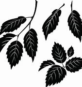 Image result for Elm Leaf Logo