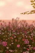 Image result for Basic Wildflowers