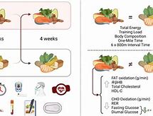 Image result for High Carb Diet Plan