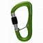 Image result for lock climbing carabiner