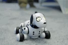 Image result for Interactive Robot Dogs