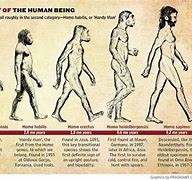 Image result for What Are Humans