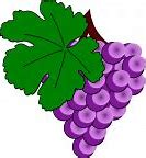 Image result for Grape Vine Leaf