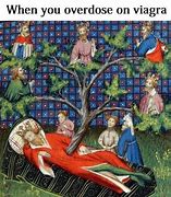 Image result for Medieval Noble Hiding Meme