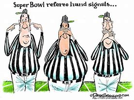 Image result for Super Bowl Referee Memes