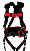 Image result for Cosmo Full Body Harness