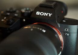 Image result for Sony A7iii Shots