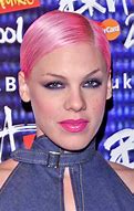 Image result for Pink Singer Hair