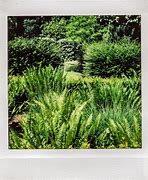Image result for Instax Dimensions