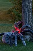 Image result for giant spiders pranks halloween