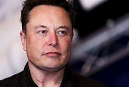 Image result for Elon Musk Face Photo
