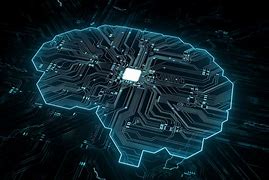 Image result for Brain Connectivity