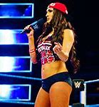 Image result for Nikki Bella Fearless Gear