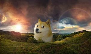 Image result for Cheems Doge Wallpaper