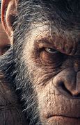 Image result for Caesar Planet of the Apes Eyes
