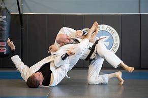 Image result for Jiu Jitsu Training
