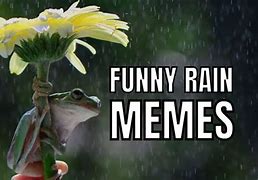 Image result for Rain Haters Meme