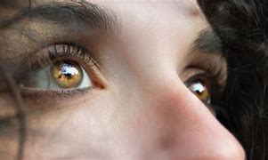 Image result for Ojos Orgullosos