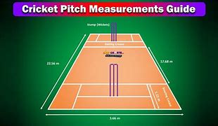 Image result for How to Pitch a Cricket Ball