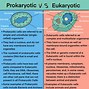 Image result for What Is the Diferins