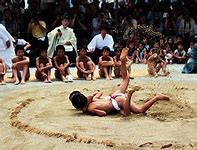 Image result for Animated Sumo Wrestling