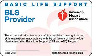 Image result for American BLS CPR