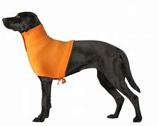 Image result for Body Covering of Dog