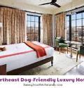 Image result for Pet Friendly Hotels Allentown PA