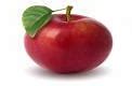 Image result for Apple Fruit Vertical Pic