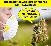 Image result for Allergies Funny