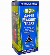 Image result for Apple Maggot Fly Traps