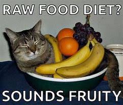 Image result for Fruit Cat Meme